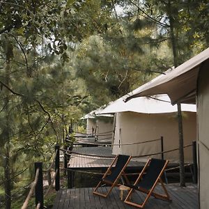 Rindang Glamping